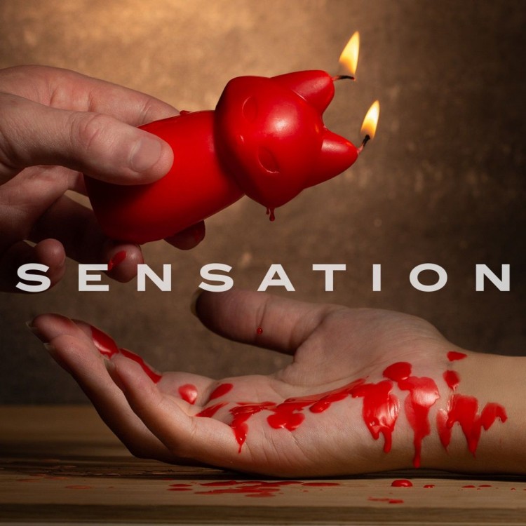 Красная БДСМ-свеча в форме злой кошки Fox Drip Candle Красная БДСМ-свеча в форме злой кошки Fox Drip Candle