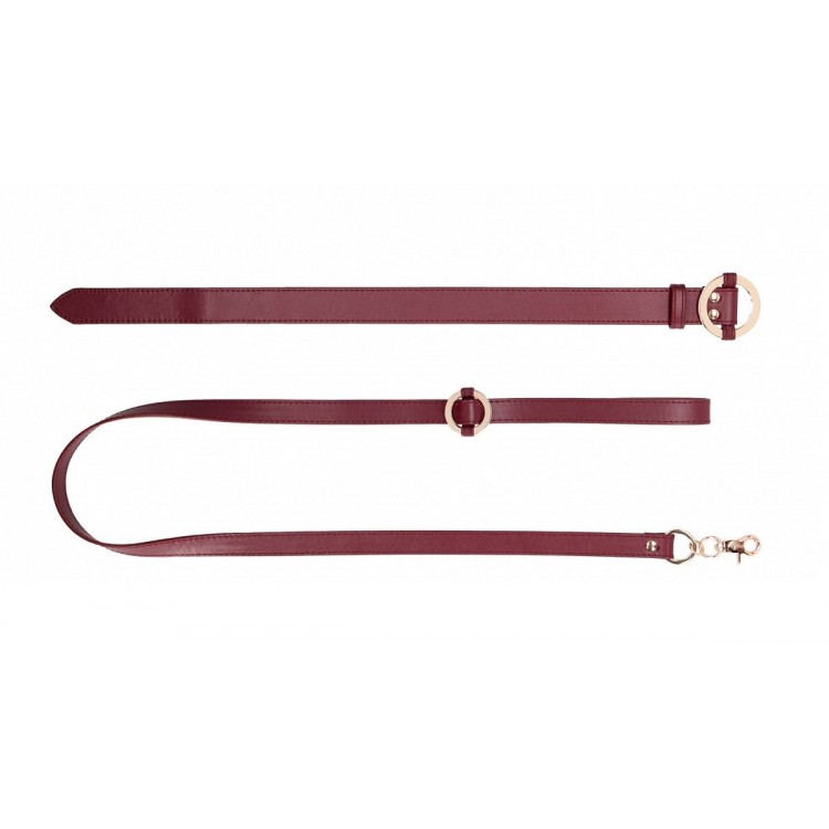 Бордовый ошейник с поводком Collar With Leash