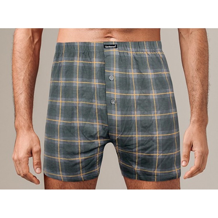 Мужские трусы боксеры GB7749-gray/green, Gentlemen