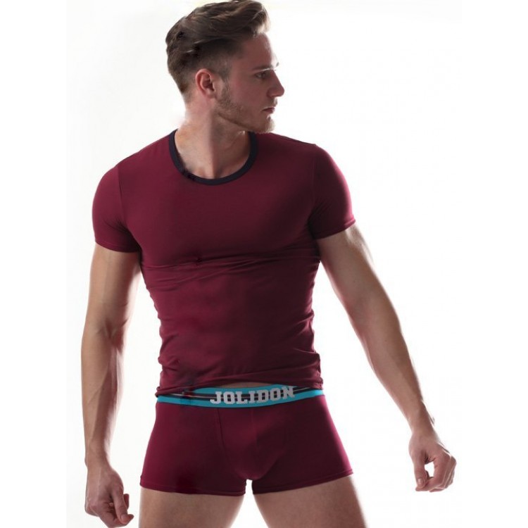 Мужская хлопковая футболка M264BL-plum, Jolidon