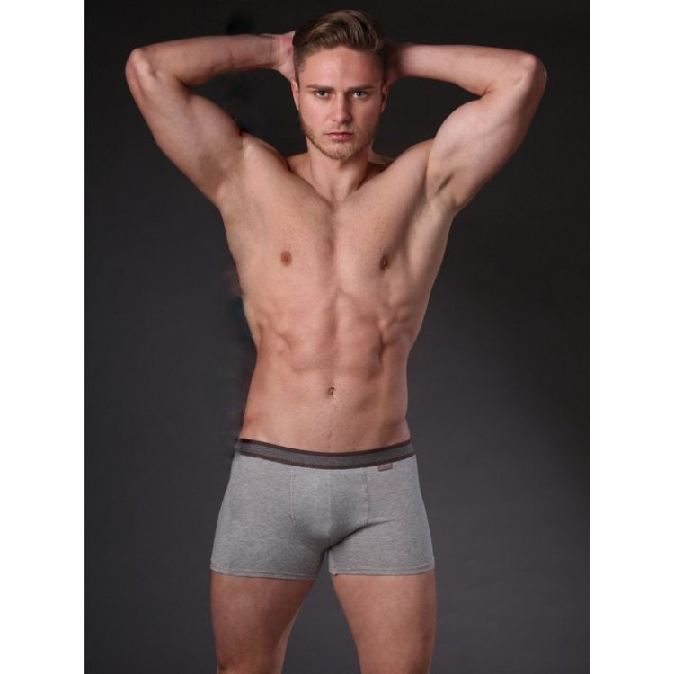 Мужские трусы-боксеры N252MJ-gray, Jolidon