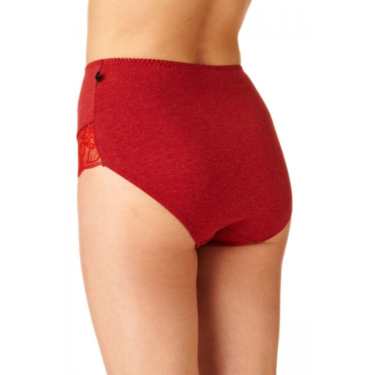 LPF 224 B22 Трусы высокие 2 шт. в упаковке