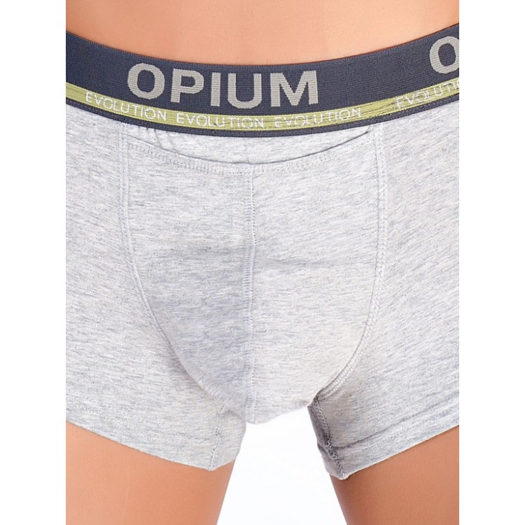 Мужские хлопковые Трусы R95, Opium 