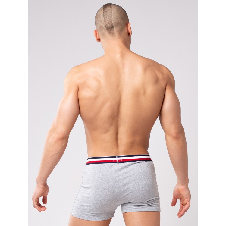 Мужские трусы-боксеры R124 grey, Opium