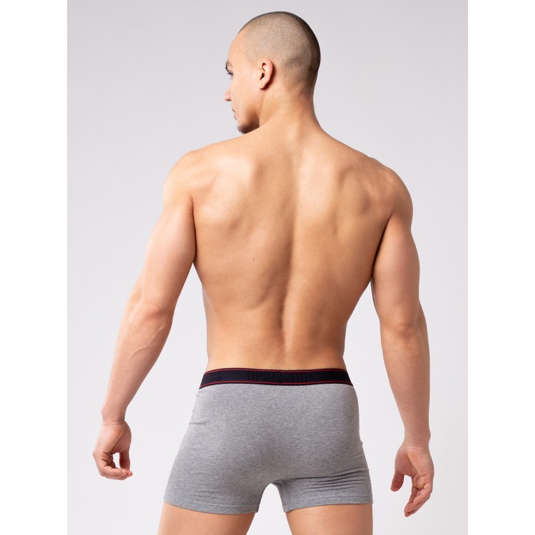 Мужские трусы-боксеры R127 grey, Opium