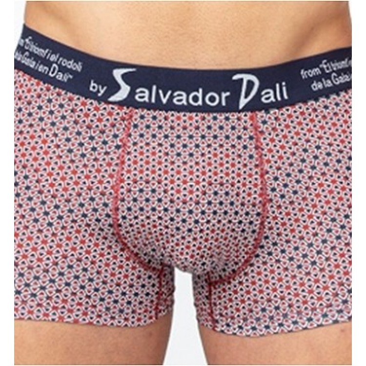 Мужские трусы-боксеры из хлопка SD2051-3 blue/red, Salvador Dali