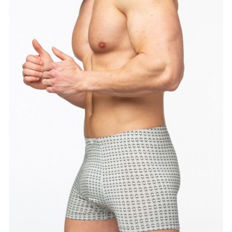 Мужские вискозные трусы-боксеры SD2057-1, Salvador Dali