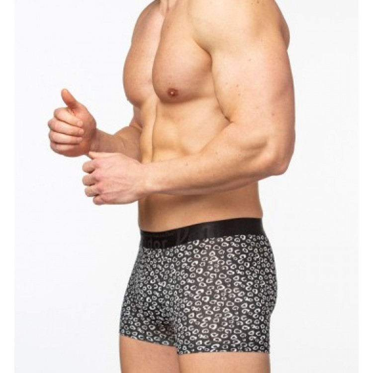 Мужские трусы-боксеры из модала SD2803-1, Salvador Dali