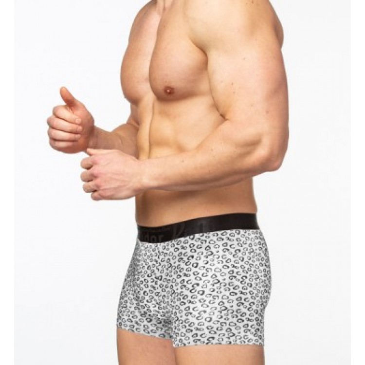 Мужские трусы-боксеры из модала SD2803-2, Salvador Dali