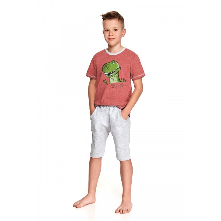 Пижама для мальчиков с шортами 2215/2216 SS21 ALAN терракот, Taro