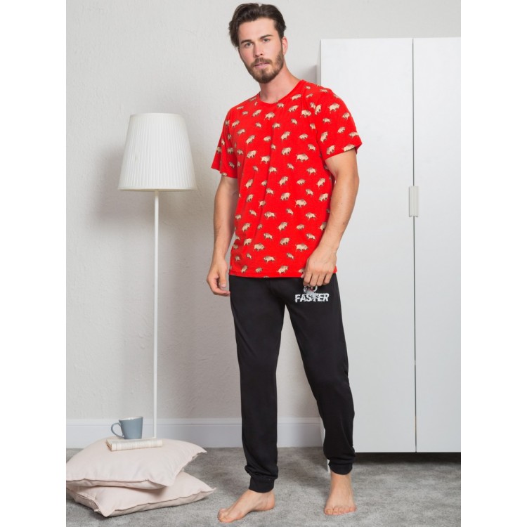 Пижама мужская 004024 4684