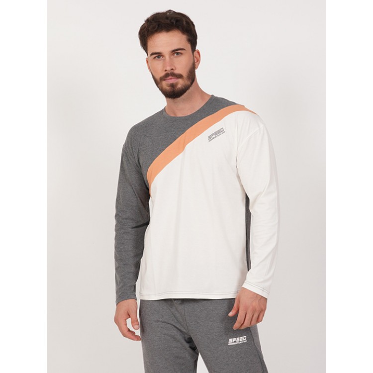 Футболка мужская с длинными рукавами 605000 2525 grey