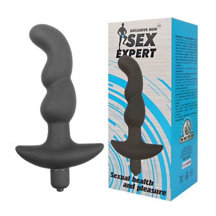 Чёрный анальный вибратор Sexual Health and Pleasure - 11,8 см. Чёрный анальный вибратор Sexual Health and Pleasure - 11,8 см.