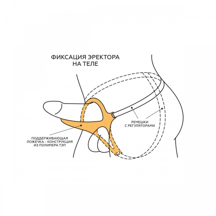 Телесный эректор-ложечка с фиксацией на ремешках MEN STYLE