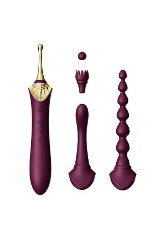 Сливовый вибратор с 4 сменными насадками Bess 2