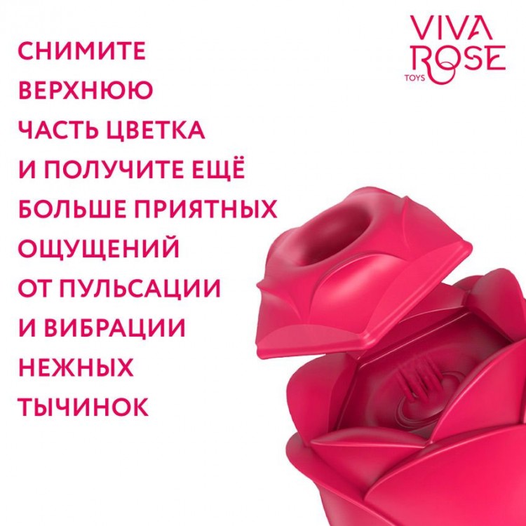 Малиновый вибростимулятор с возратно-поступательными движениями Малиновый вибростимулятор с возратно-поступательными движениями