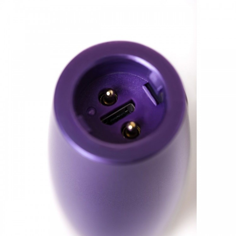 Фиолетовый вибратор Le Stelle PERKS SERIES EX-1 с 2 сменными насадками