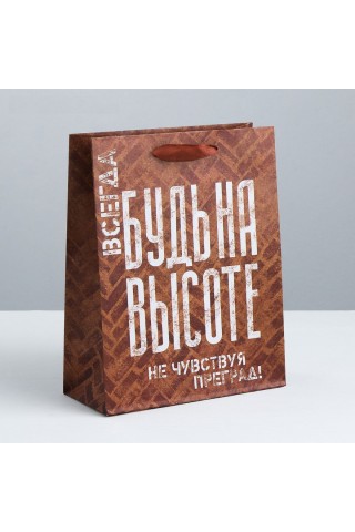 Подарочный пакет "Не чувствуй преград" - 40 х 31 см.
